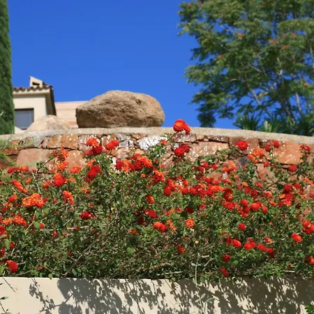Chambre Mustang Vue Mer Casaeva Guest house *
